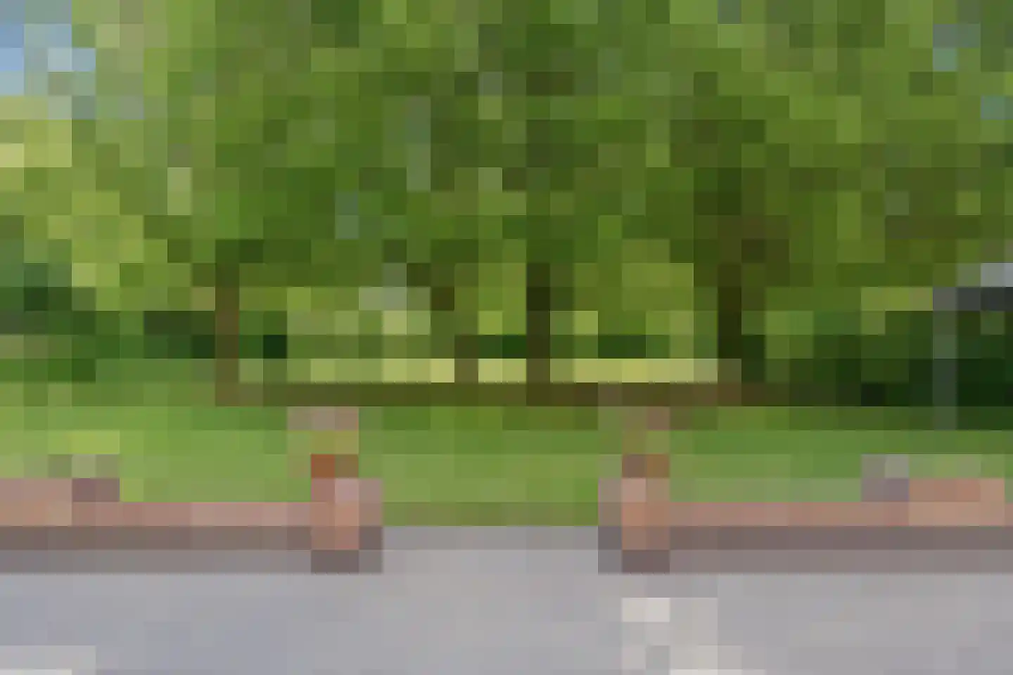 Loo 79 Bergeijk thumbnail 47