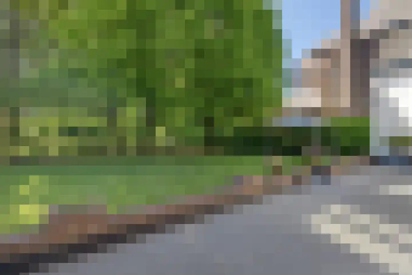 Loo 79 Bergeijk thumbnail 51