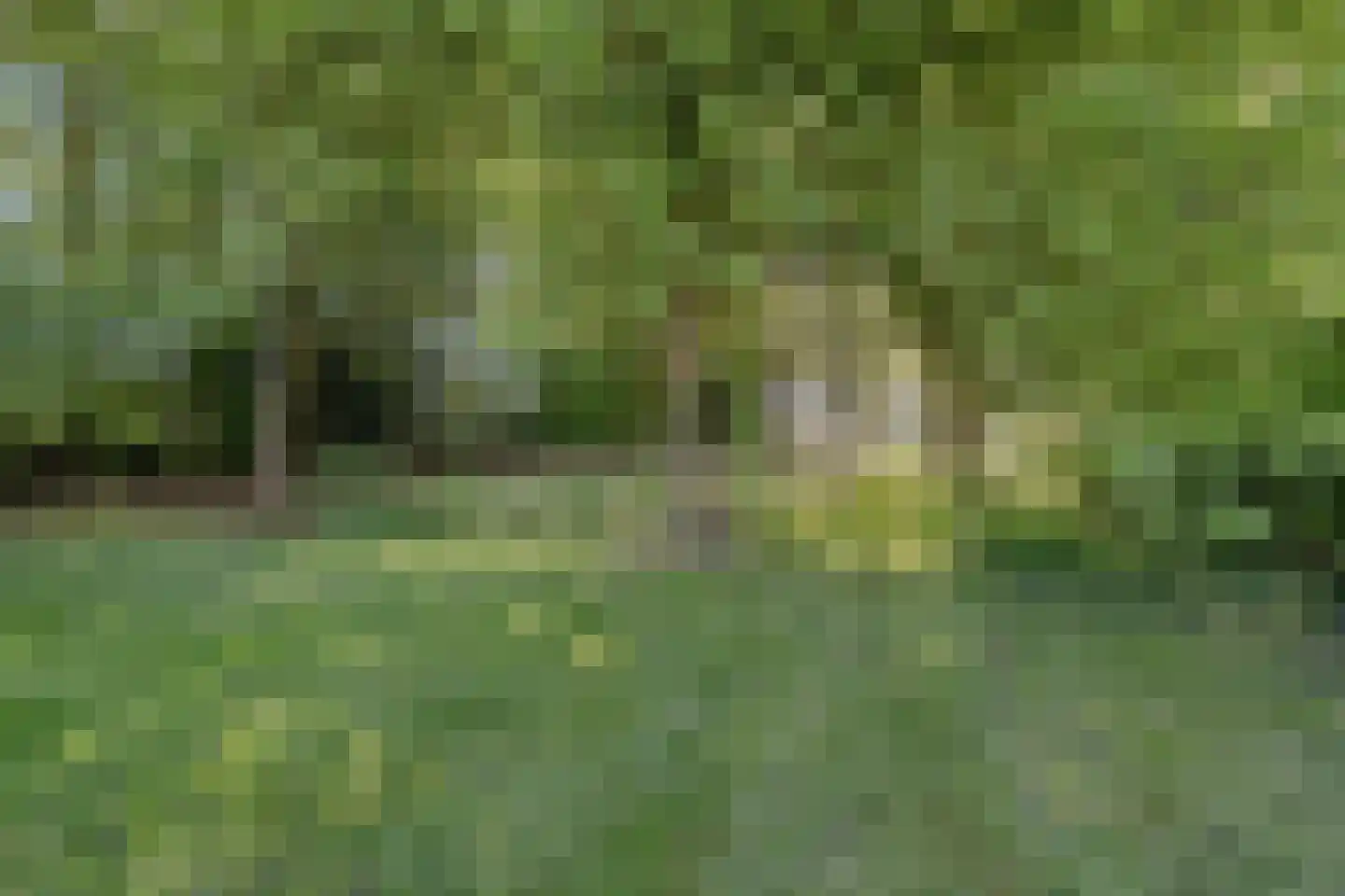 Loo 79 Bergeijk thumbnail 53