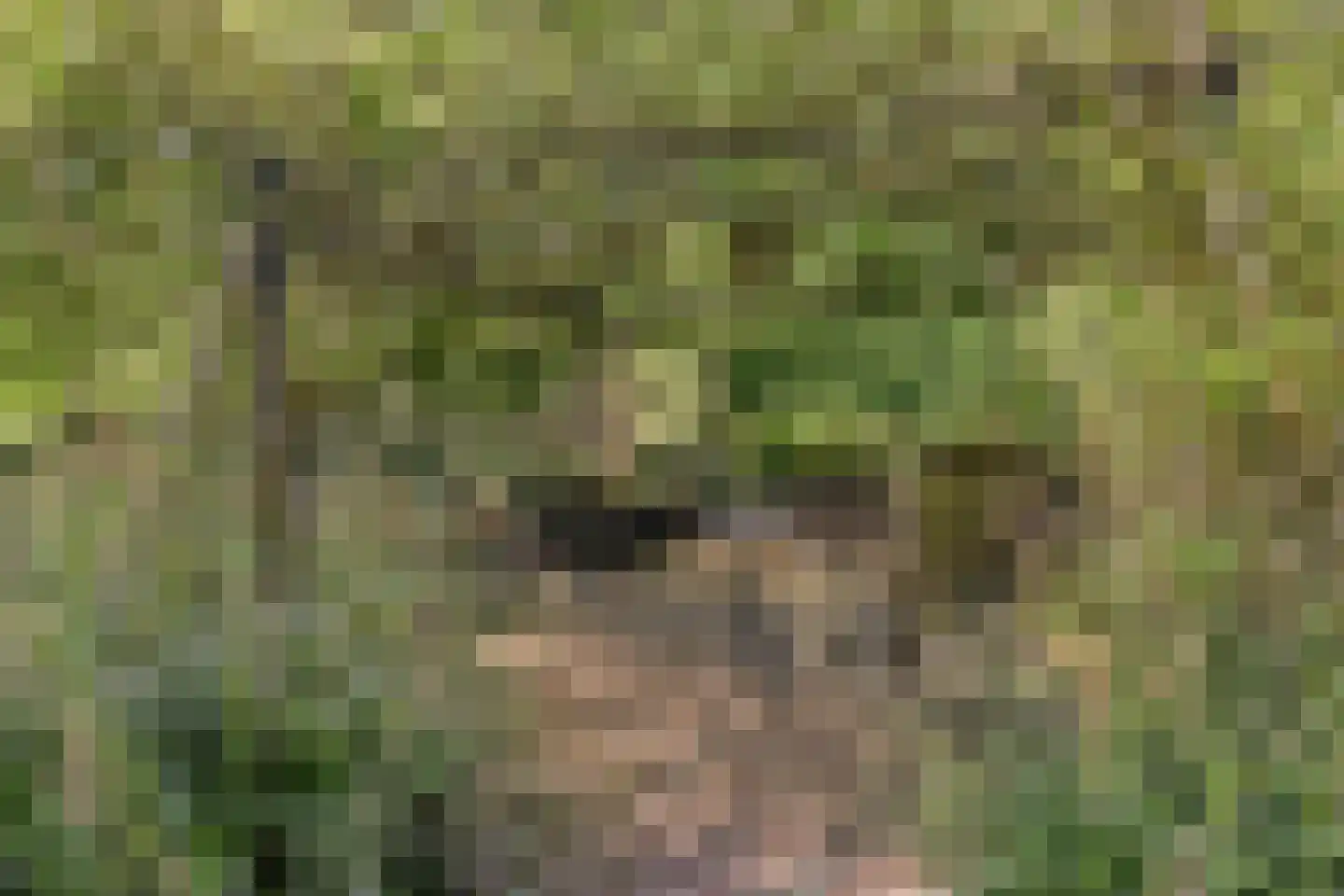 Loo 79 Bergeijk thumbnail 57