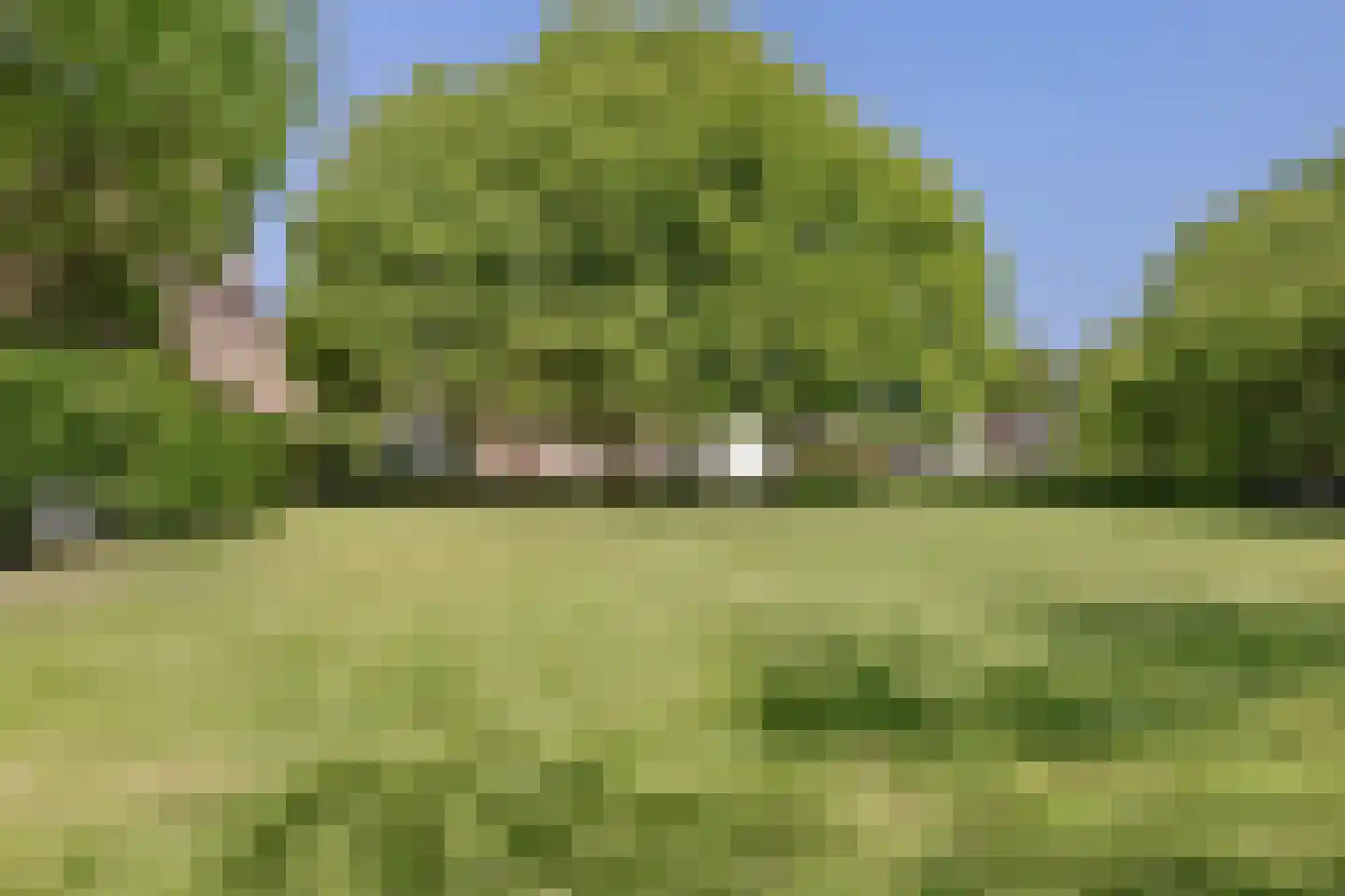 Loo 79 Bergeijk thumbnail 60