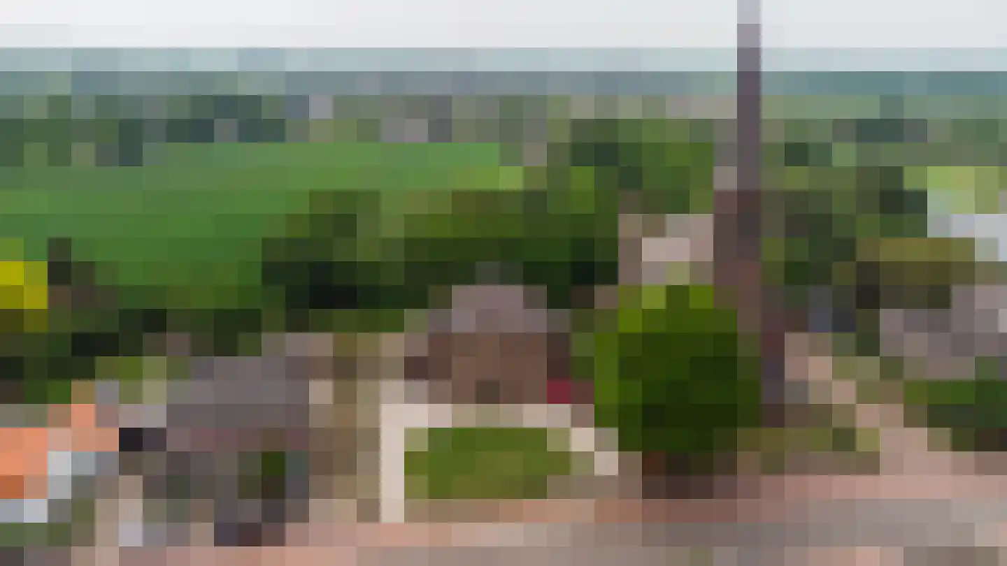 Loo 79 Bergeijk thumbnail 64