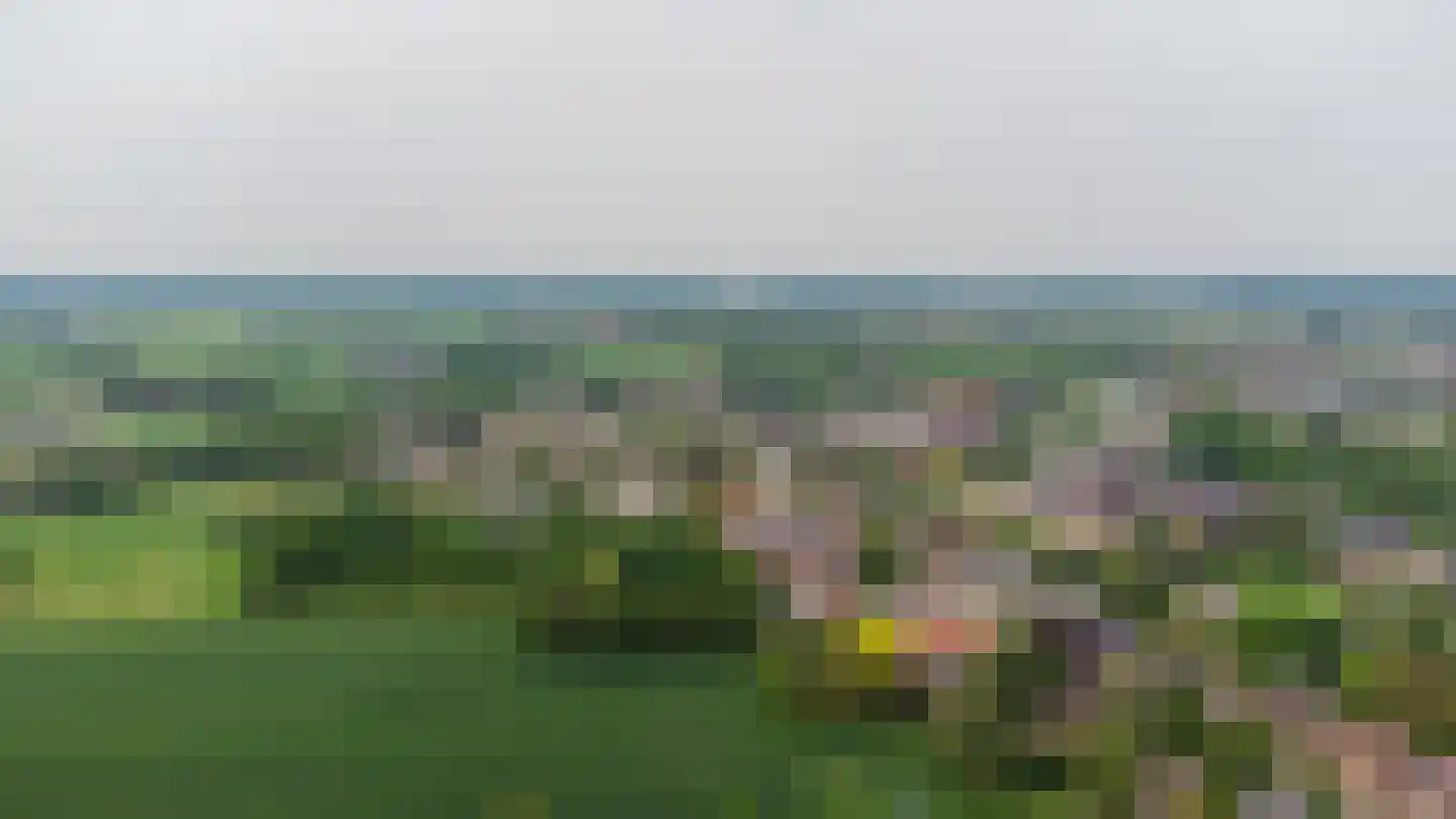 Loo 79 Bergeijk thumbnail 65