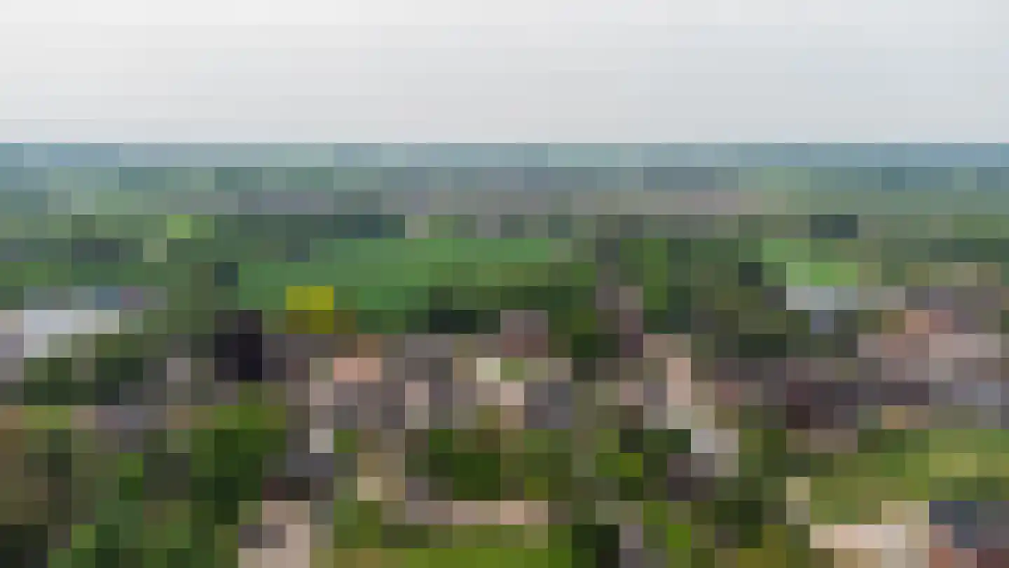 Loo 79 Bergeijk thumbnail 66