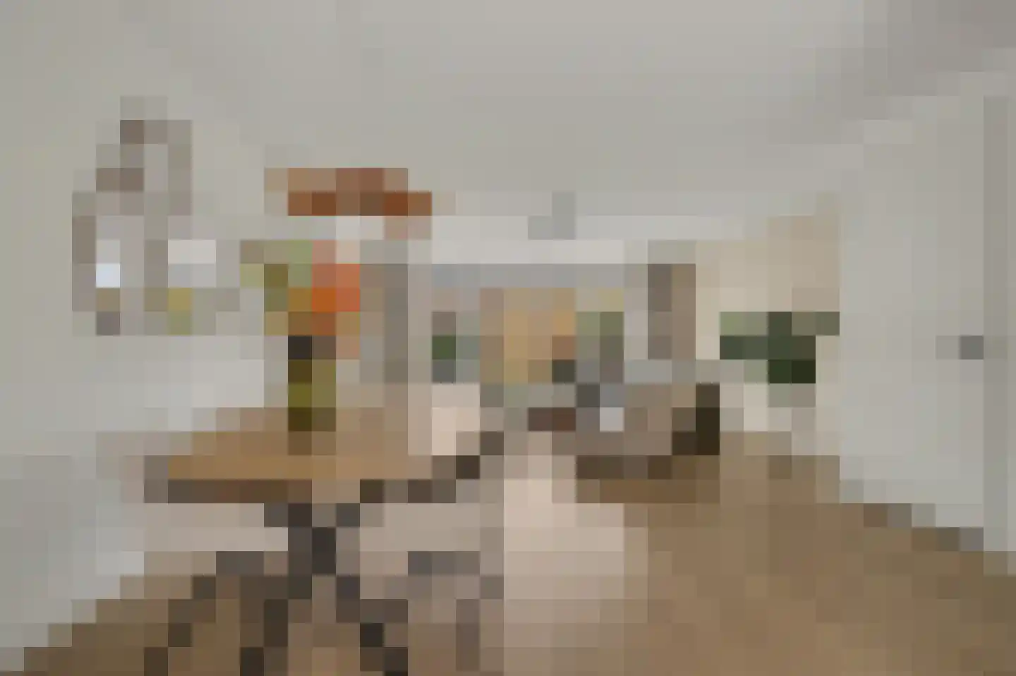 Loo 8 Poeldijk thumbnail 11