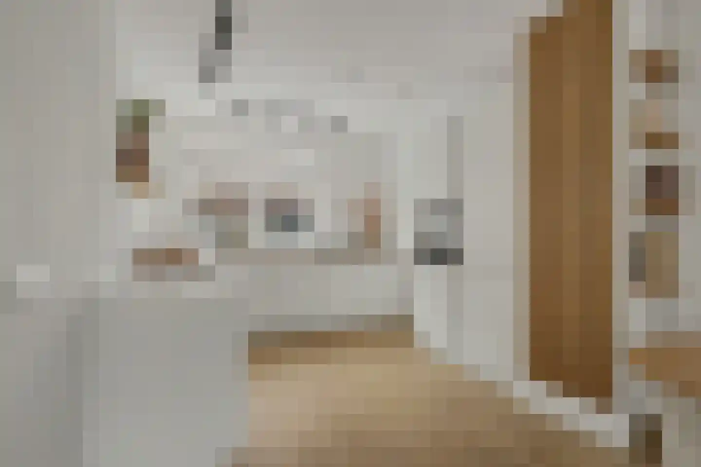 Loo 8 Poeldijk thumbnail 12
