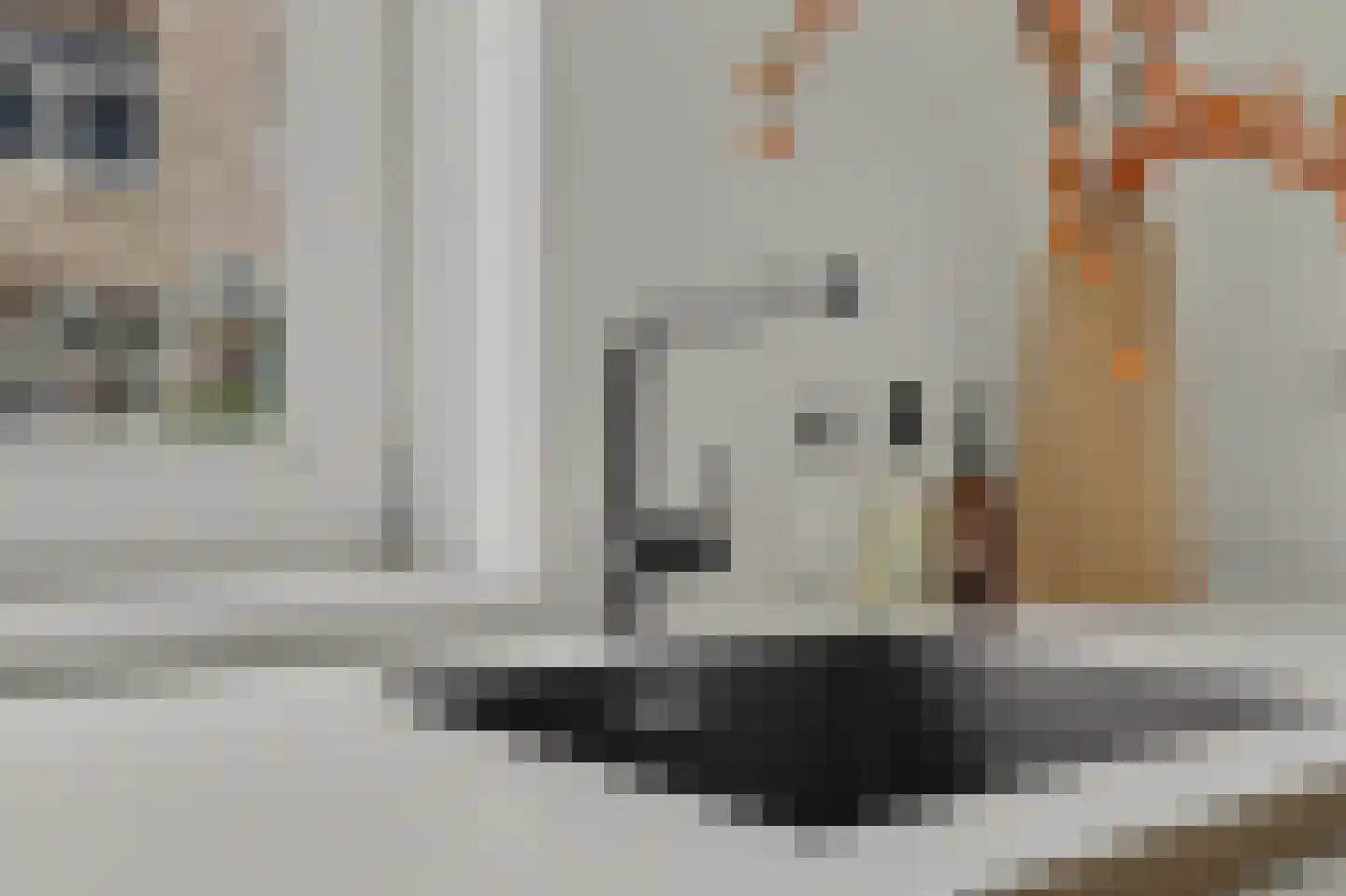 Loo 8 Poeldijk thumbnail 16