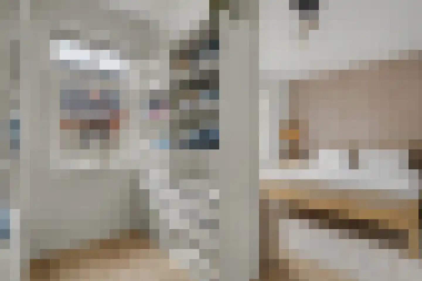 Loo 8 Poeldijk thumbnail 19