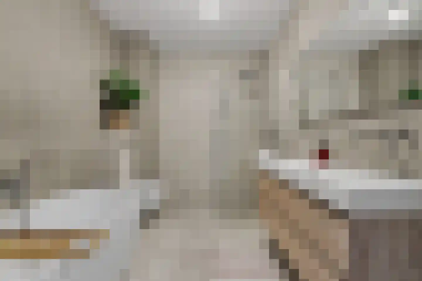 Loo 8 Poeldijk thumbnail 25