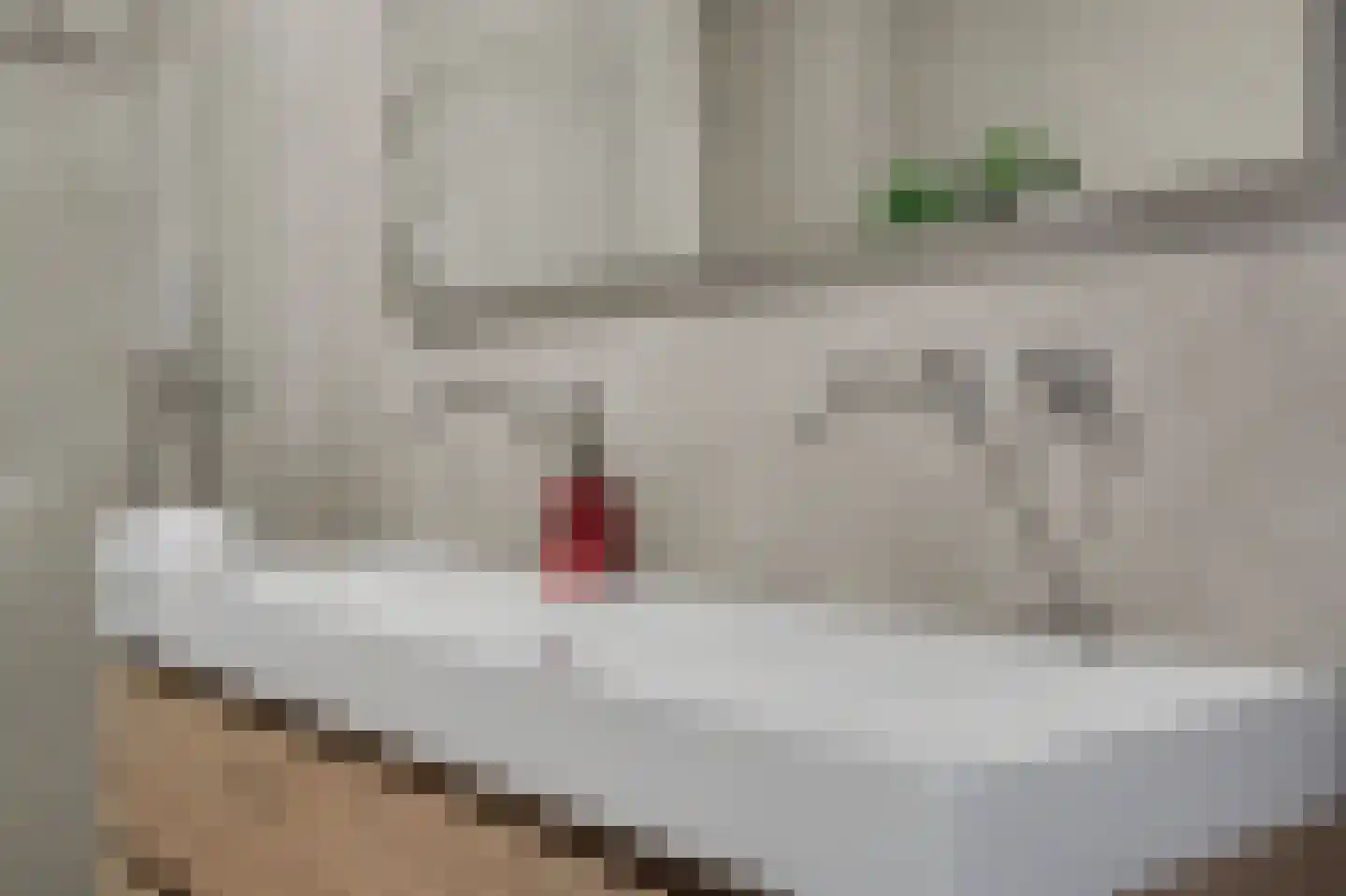 Loo 8 Poeldijk thumbnail 27