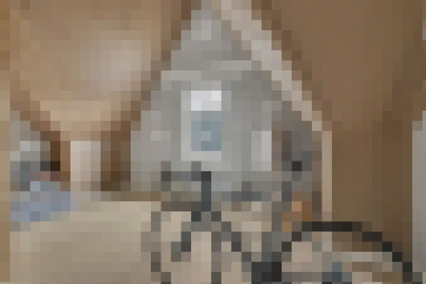 Loo 8 Poeldijk thumbnail 32