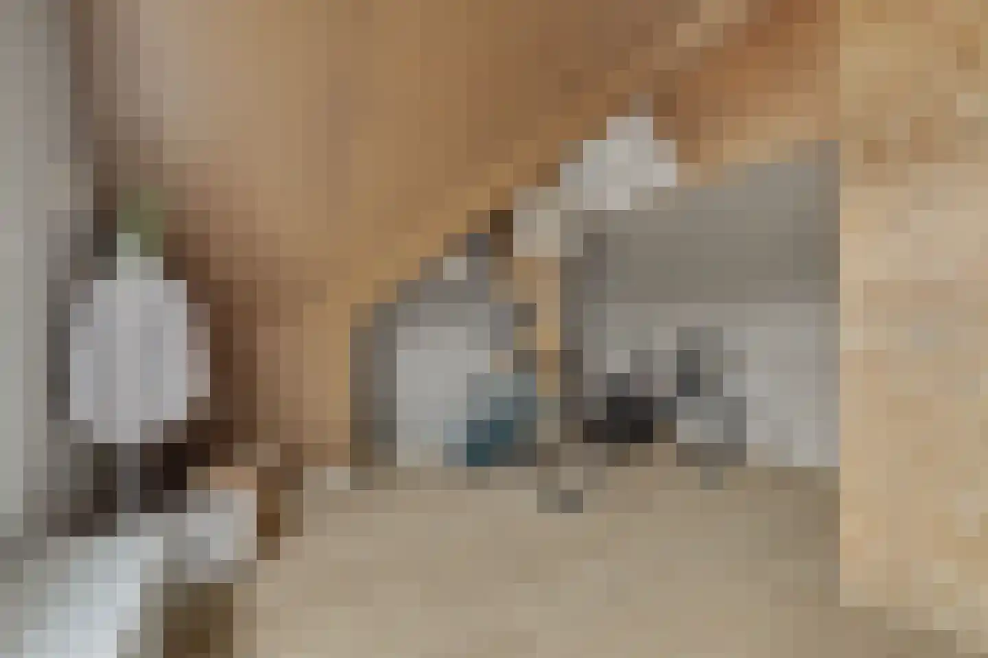 Loo 8 Poeldijk thumbnail 33