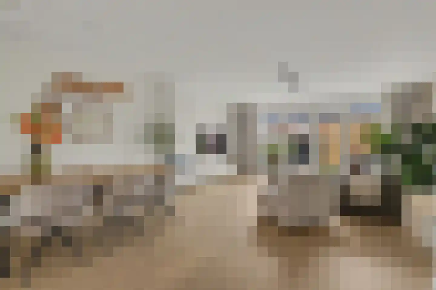 Loo 8 Poeldijk thumbnail 5