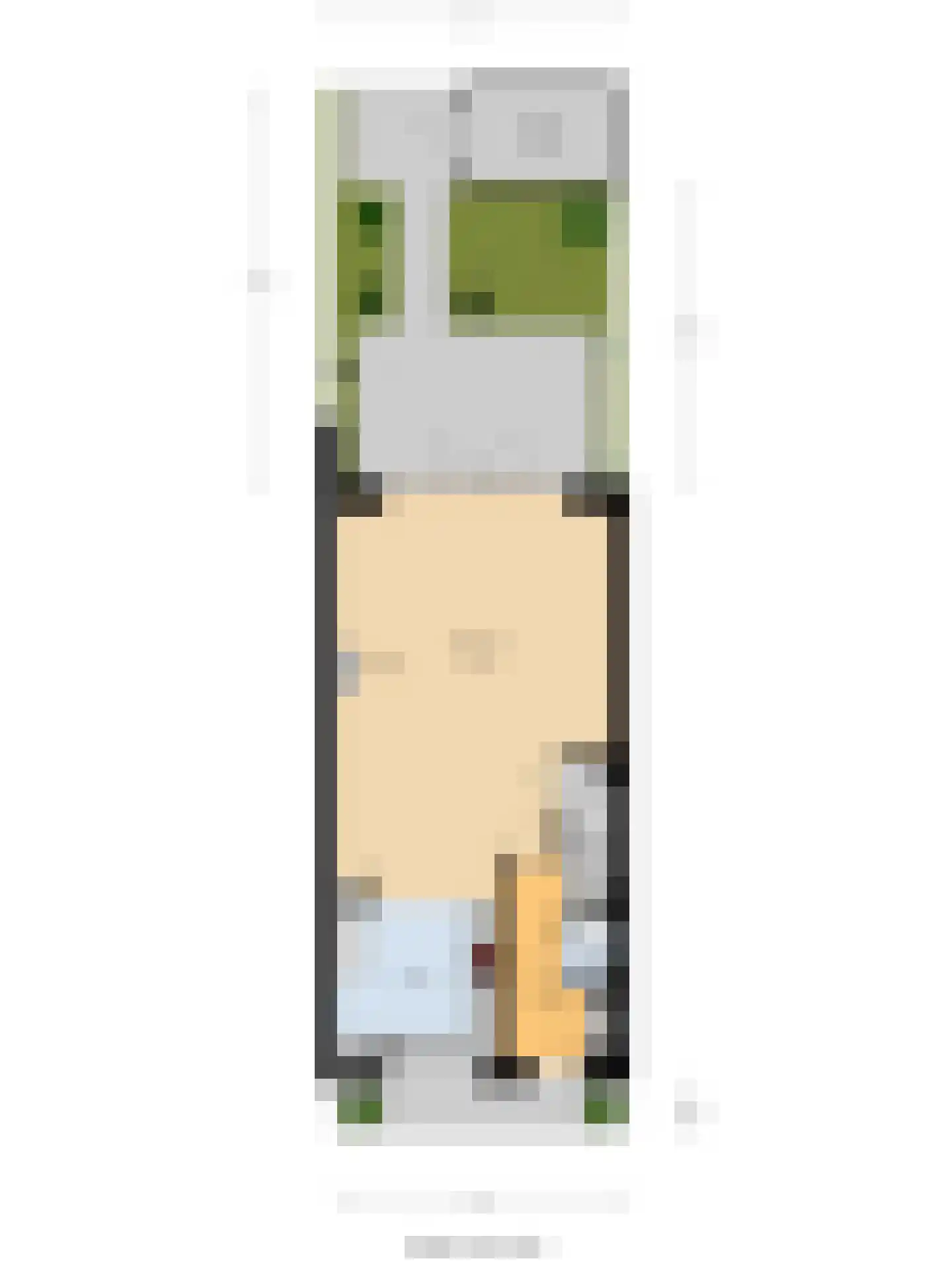 Loo 8 Poeldijk thumbnail 55