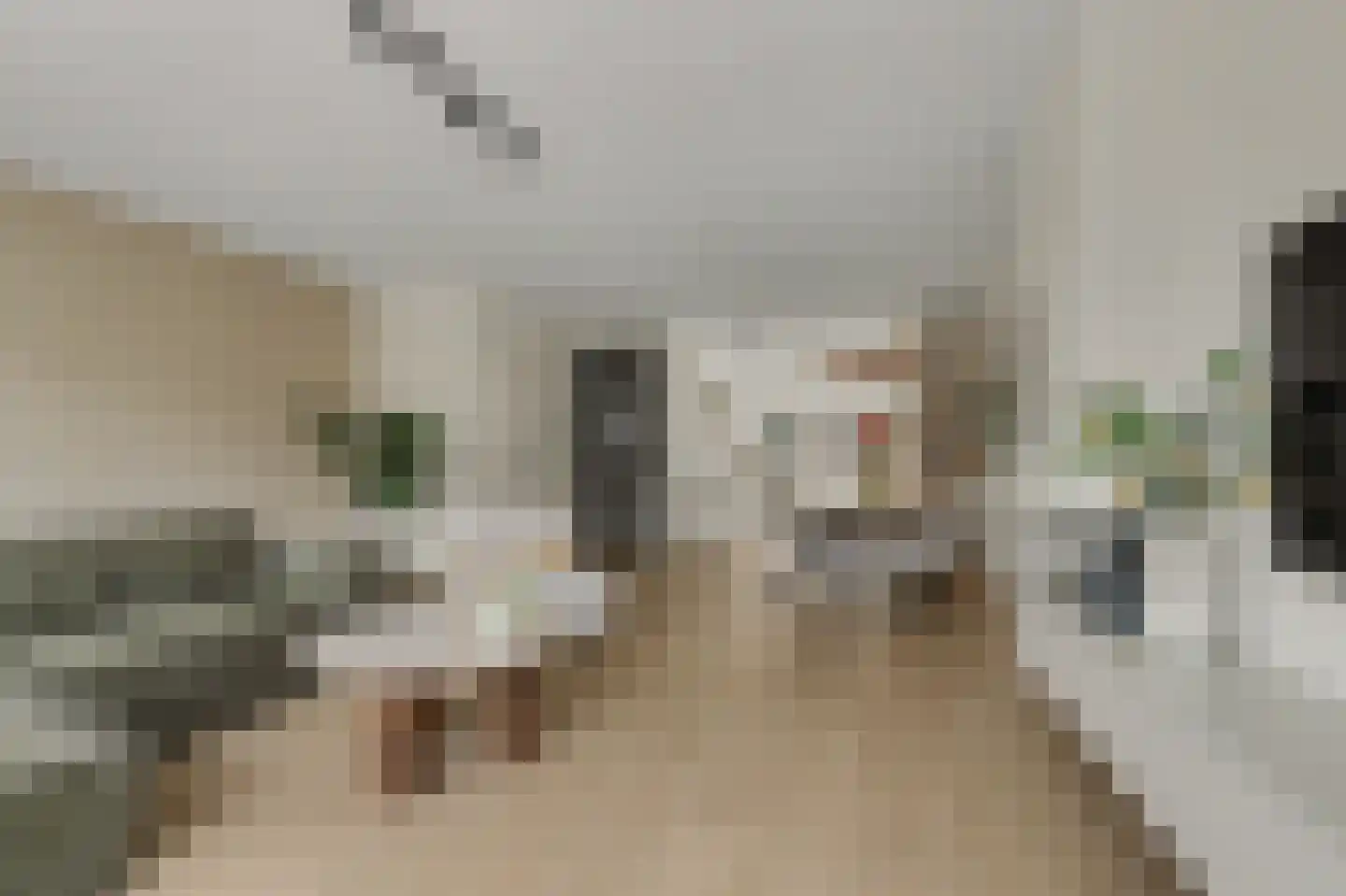 Loo 8 Poeldijk thumbnail 6