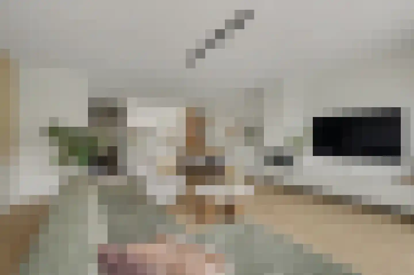 Loo 8 Poeldijk thumbnail 7