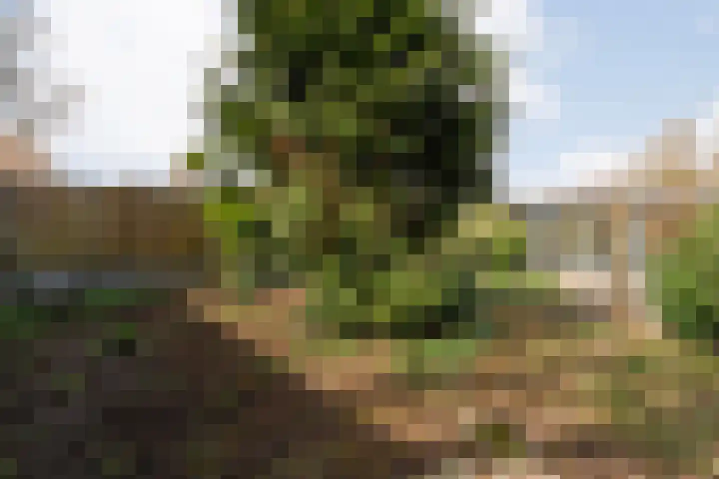 Loo-ackers 10 Emmen thumbnail 31