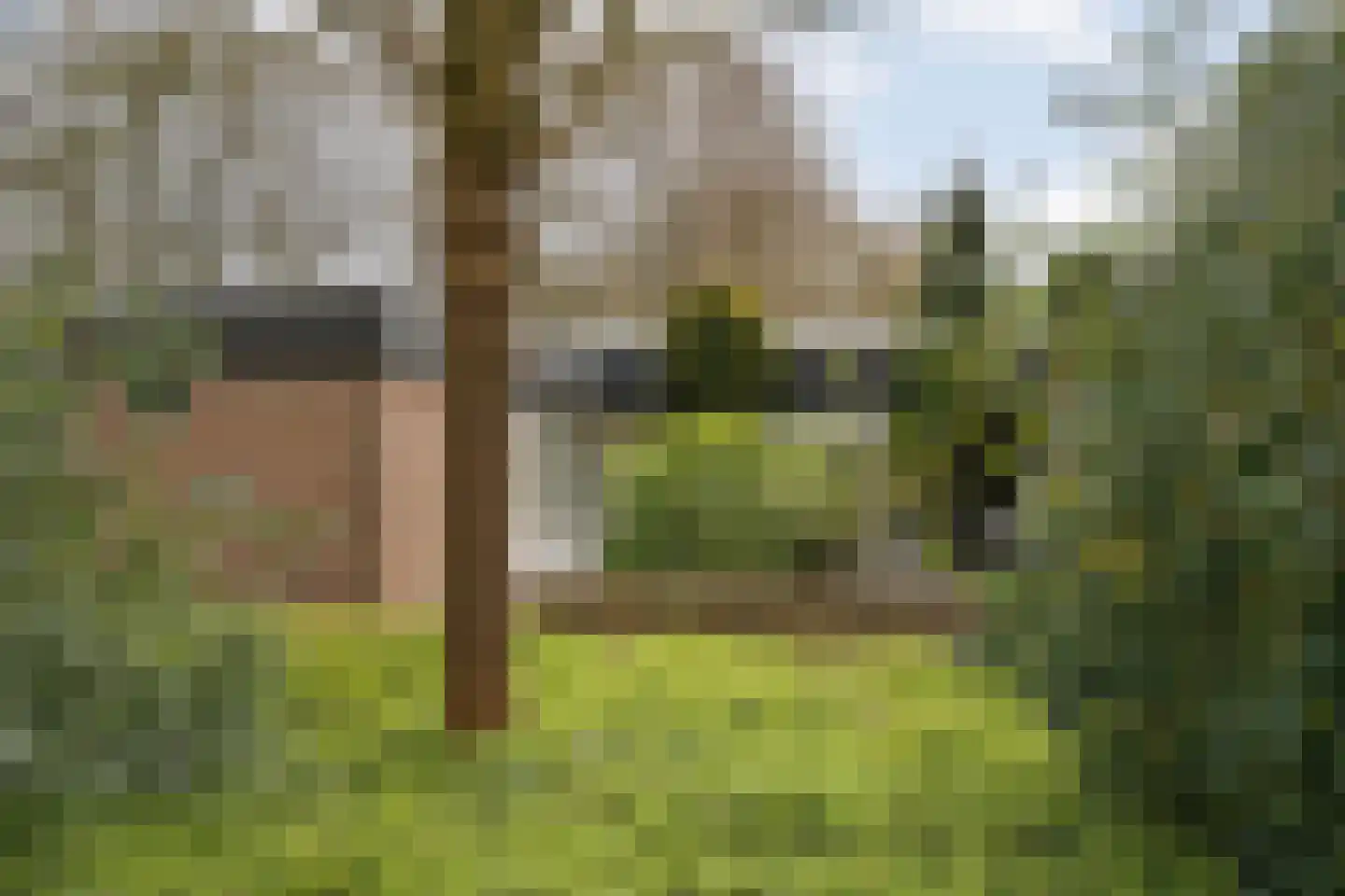 Loo-ackers 10 Emmen thumbnail 32