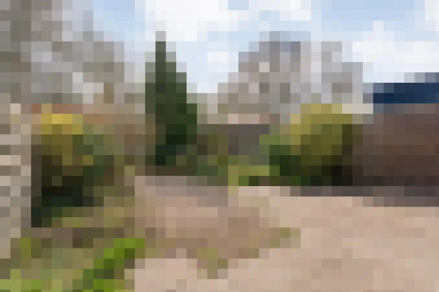 Loo-ackers 10 Emmen thumbnail 33