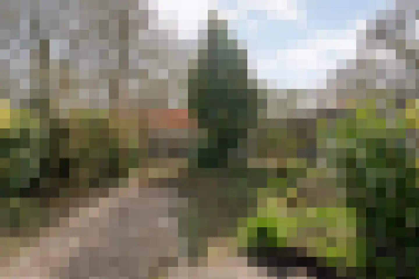 Loo-ackers 10 Emmen thumbnail 34