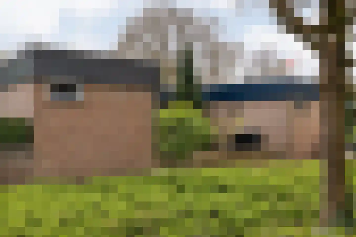 Loo-ackers 10 Emmen thumbnail 36