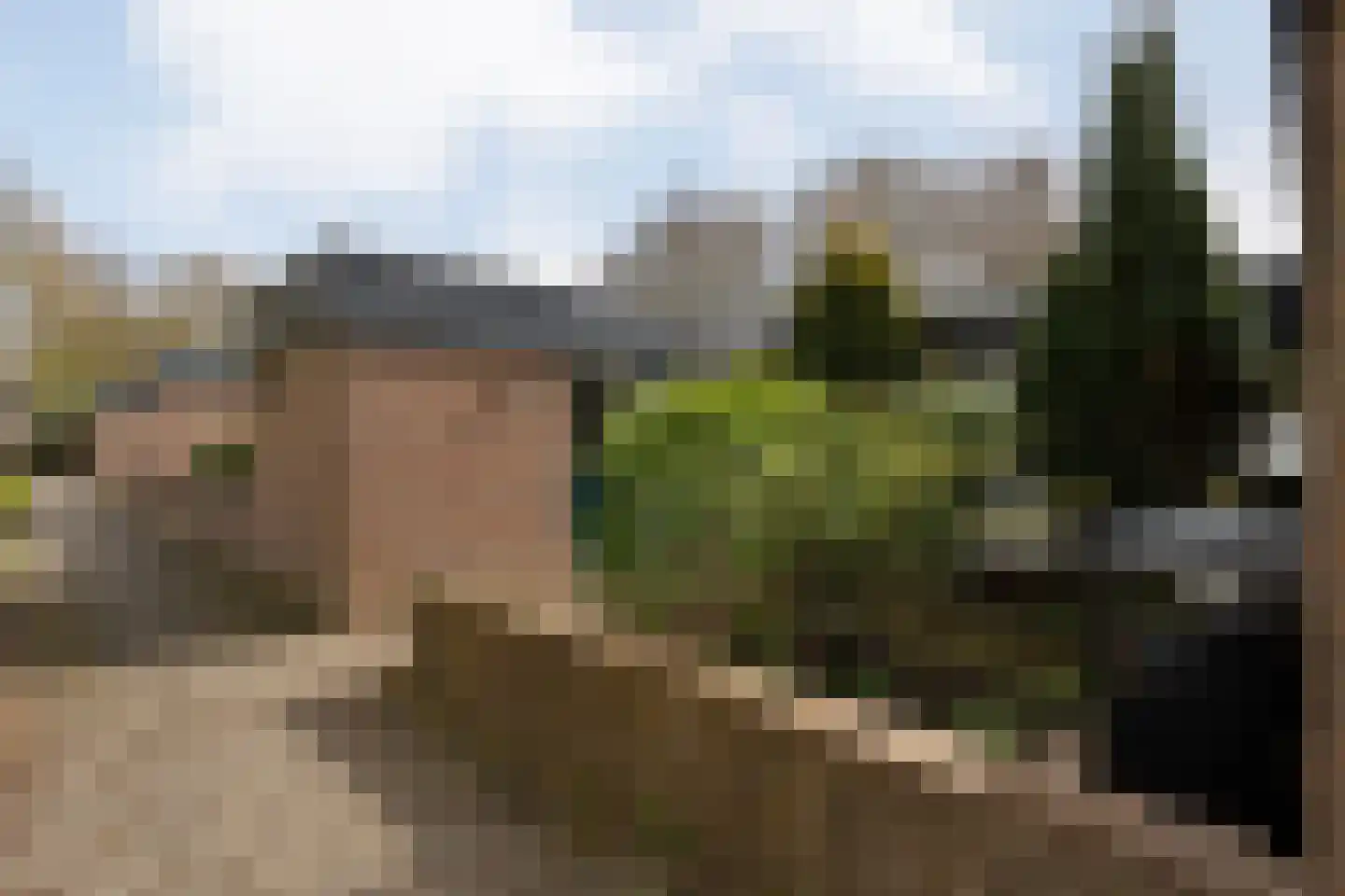 Loo-ackers 10 Emmen thumbnail 37