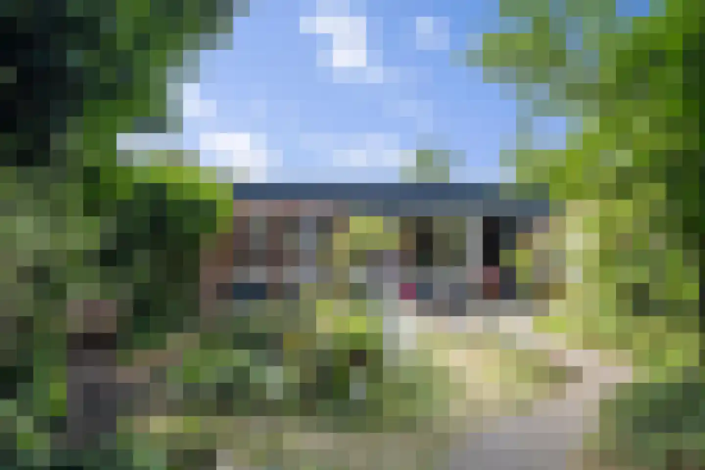 Loo-ackers 24 Emmen thumbnail 23
