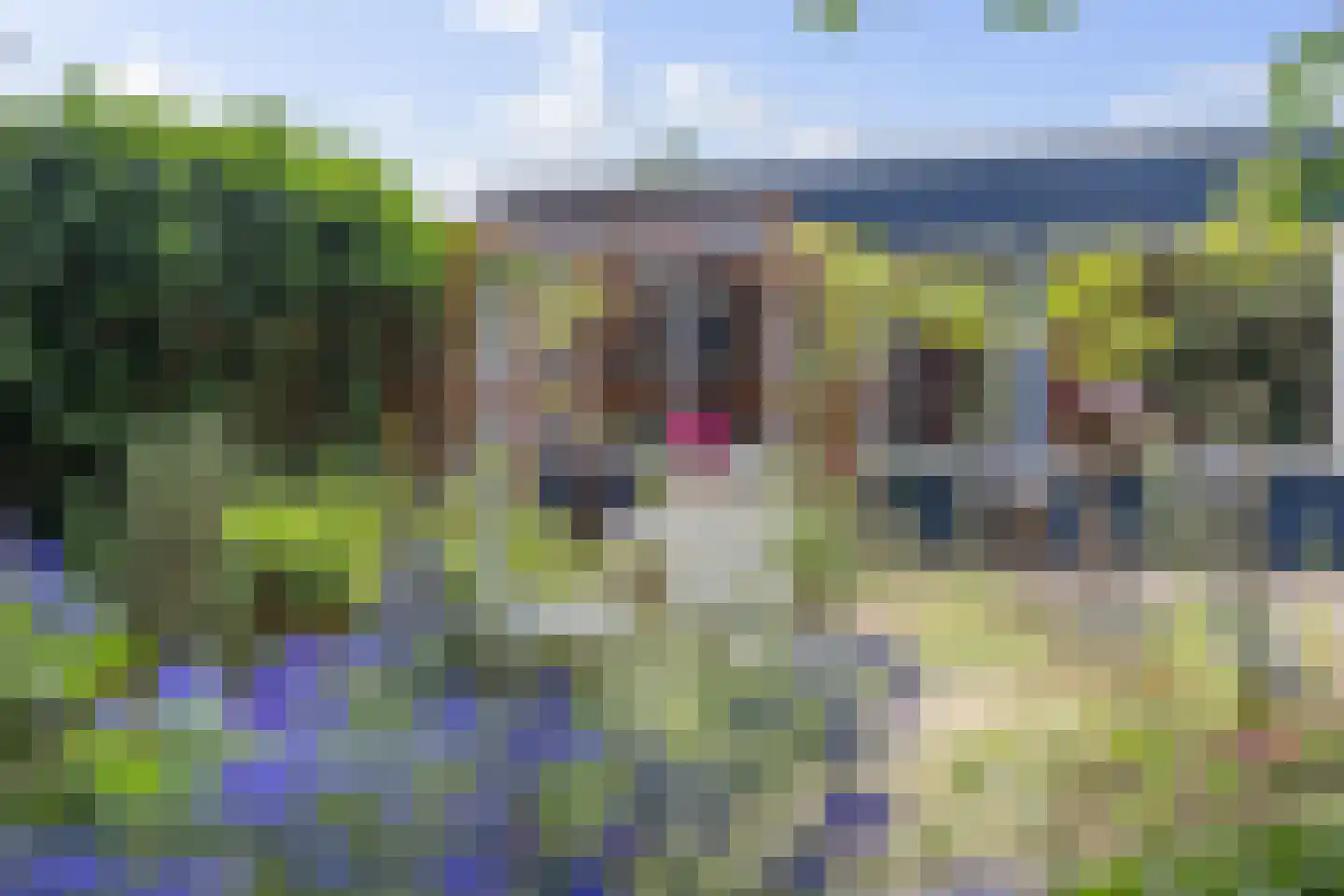 Loo-ackers 24 Emmen thumbnail 24