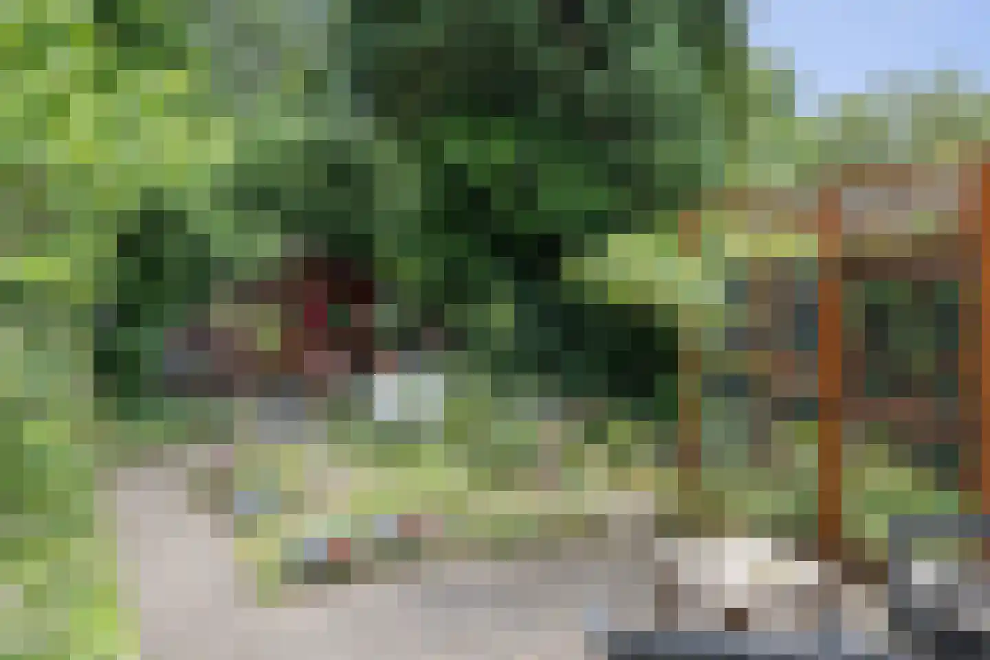 Loo-ackers 24 Emmen thumbnail 26