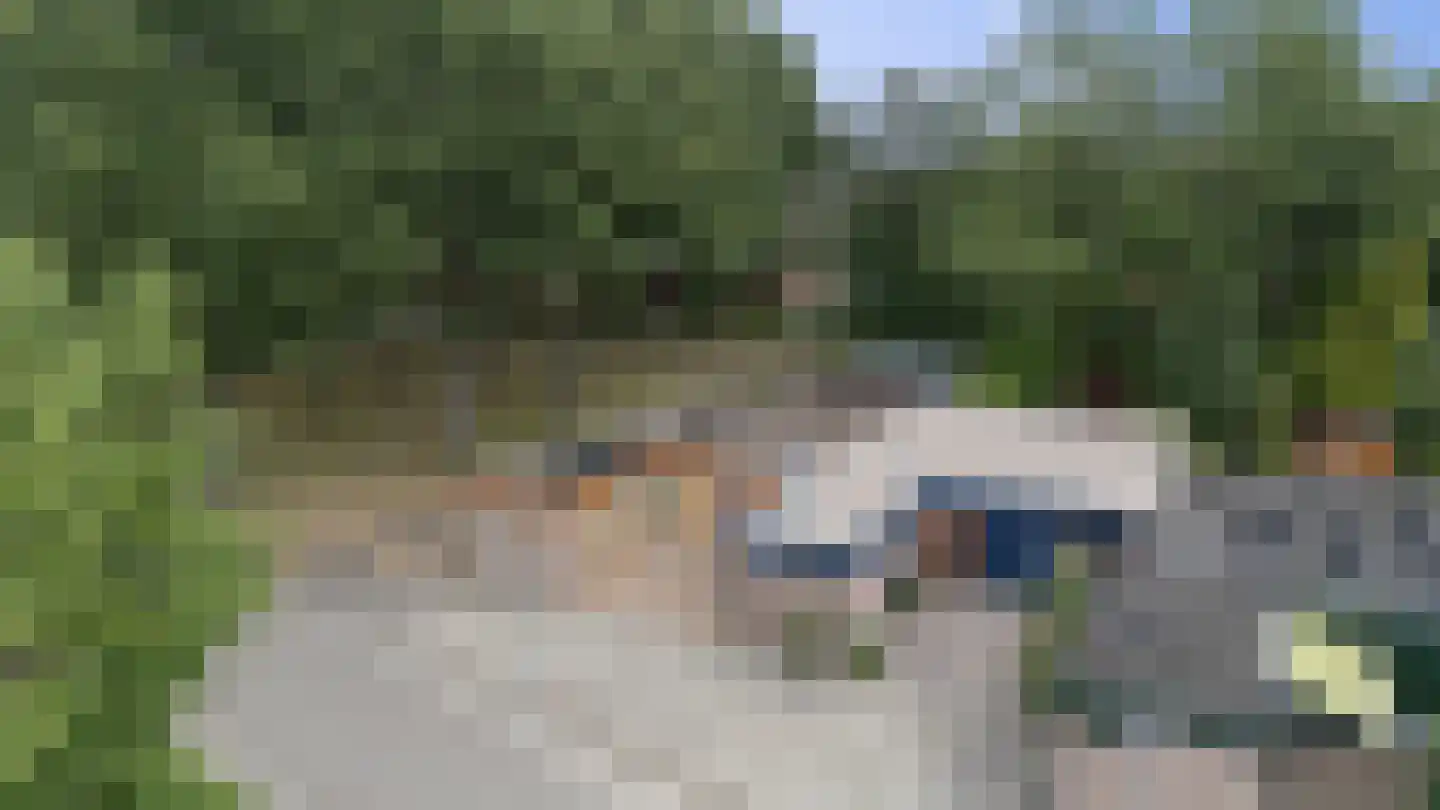 Loo-ackers 24 Emmen thumbnail 30