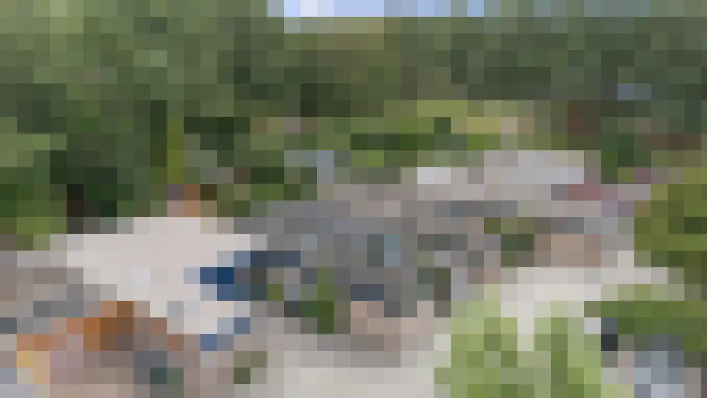 Loo-ackers 24 Emmen thumbnail 32