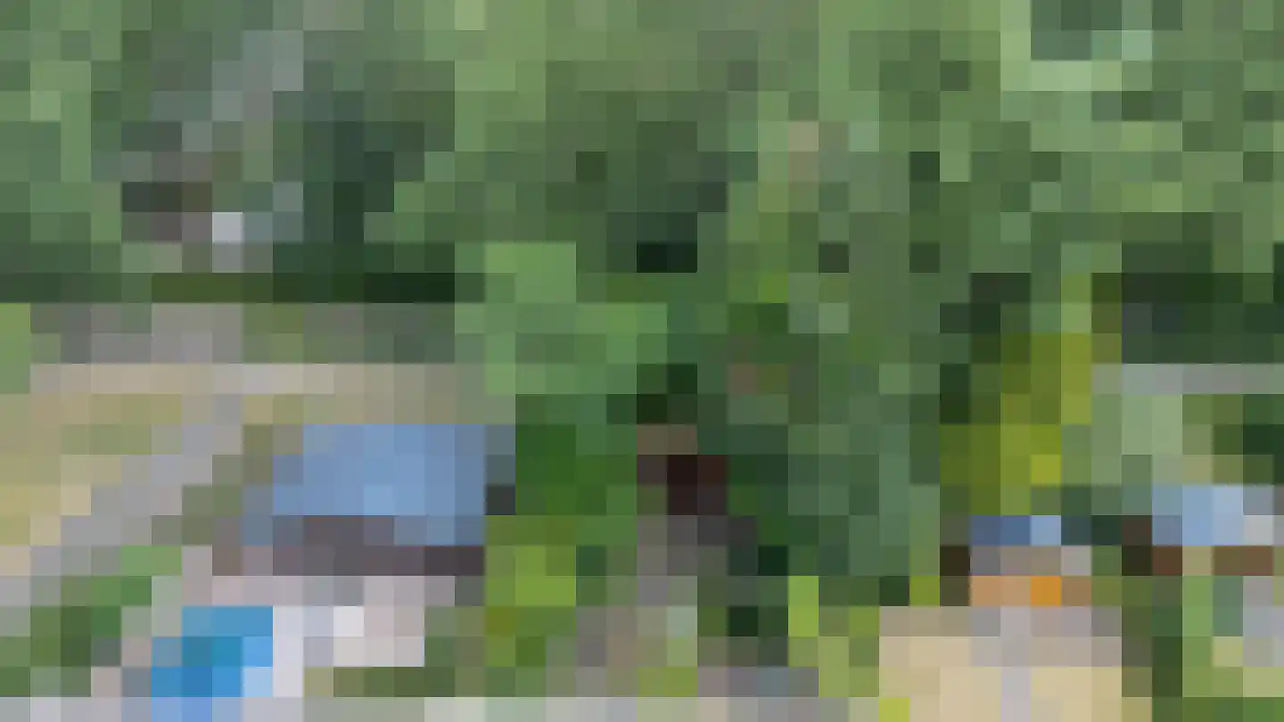 Loo-ackers 24 Emmen thumbnail 33