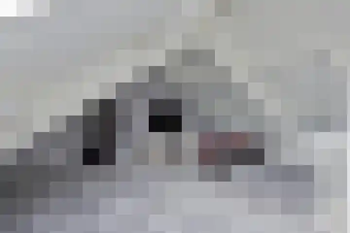 Looakker 8 Boxtel thumbnail 23