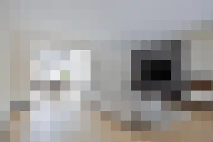 Looakker 8 Boxtel foto 3