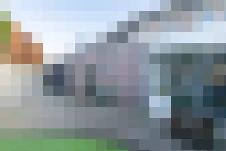 Looakker 8 Boxtel thumbnail 28