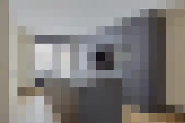 Looakker 8 Boxtel thumbnail 8