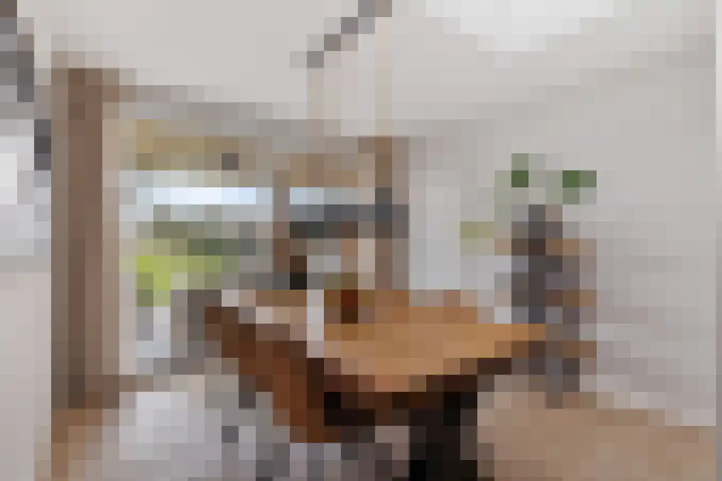 Looakkers 27 Valthe thumbnail 22