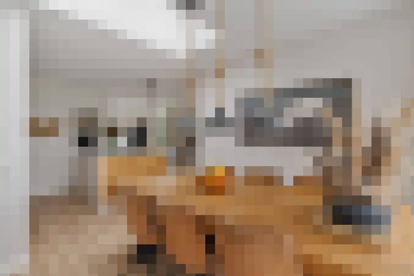 Looakkers 27 Valthe thumbnail 23