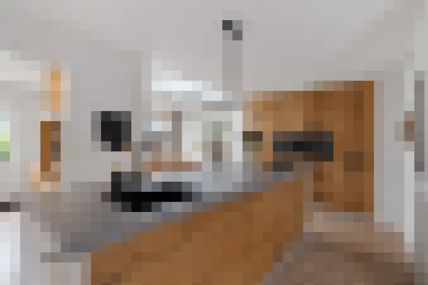 Looakkers 27 Valthe foto 3