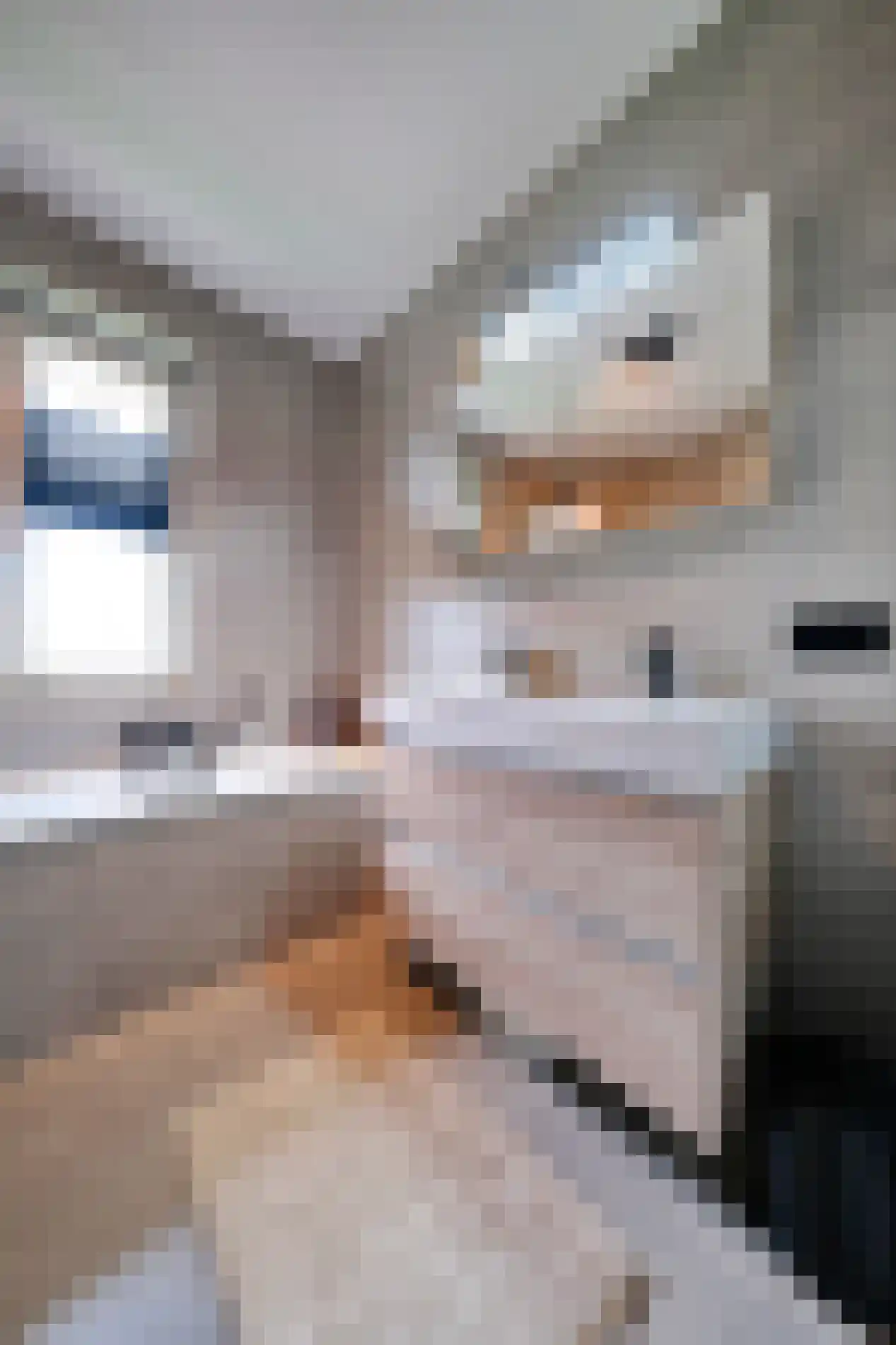 Loobeekdal 36 Ede thumbnail 24