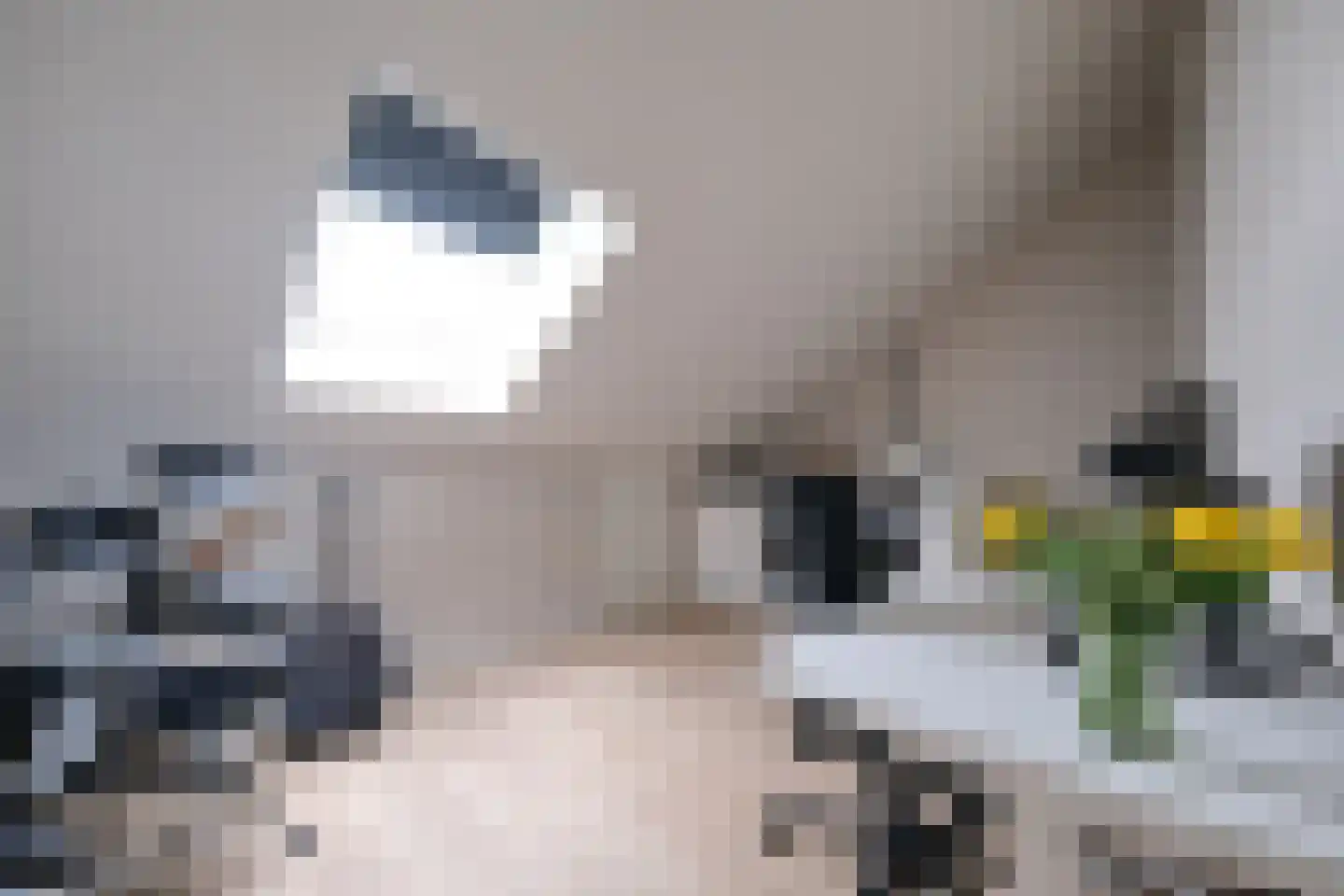 Loobeekdal 36 Ede thumbnail 30