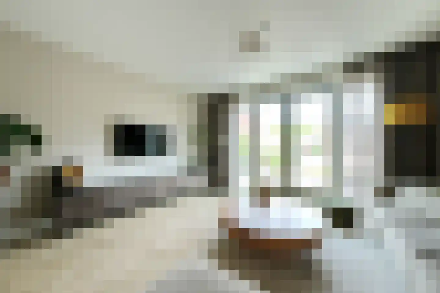 Loobeekdal 36 Ede thumbnail 5