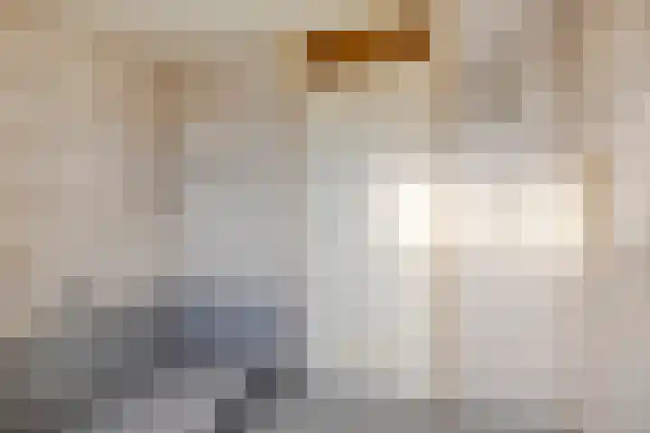 Loobos 8 Alphen thumbnail 12