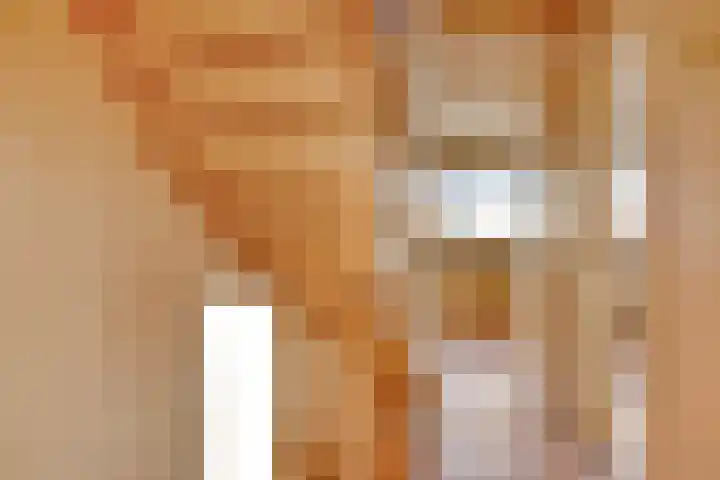 Loobos 8 Alphen thumbnail 13