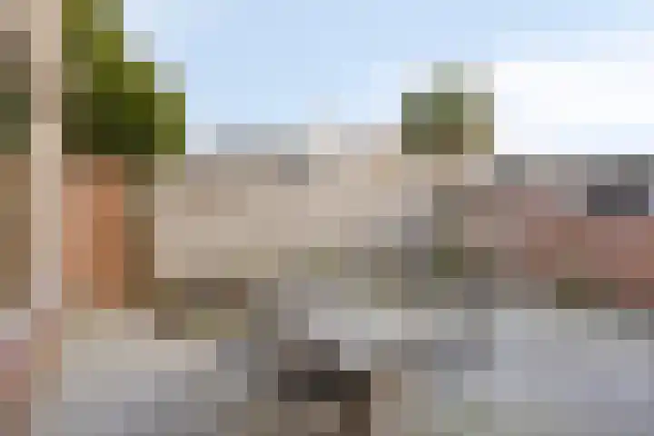 Loobos 8 Alphen thumbnail 15