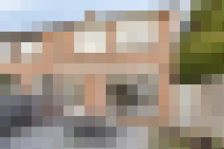 Loobos 8 Alphen thumbnail 16