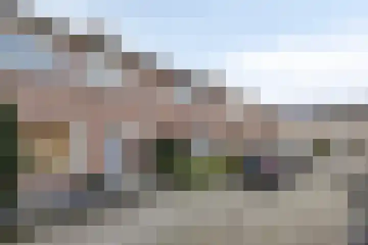 Loobos 8 Alphen thumbnail 17