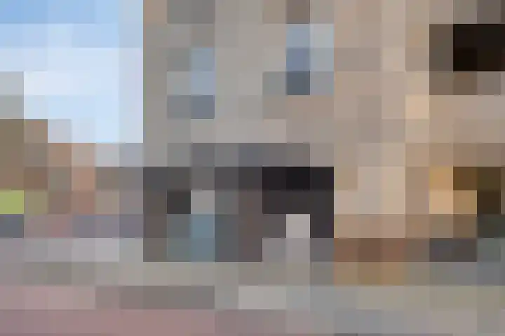 Loobos 8 Alphen thumbnail 20