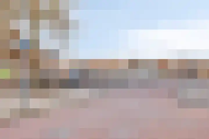 Loobos 8 Alphen thumbnail 22