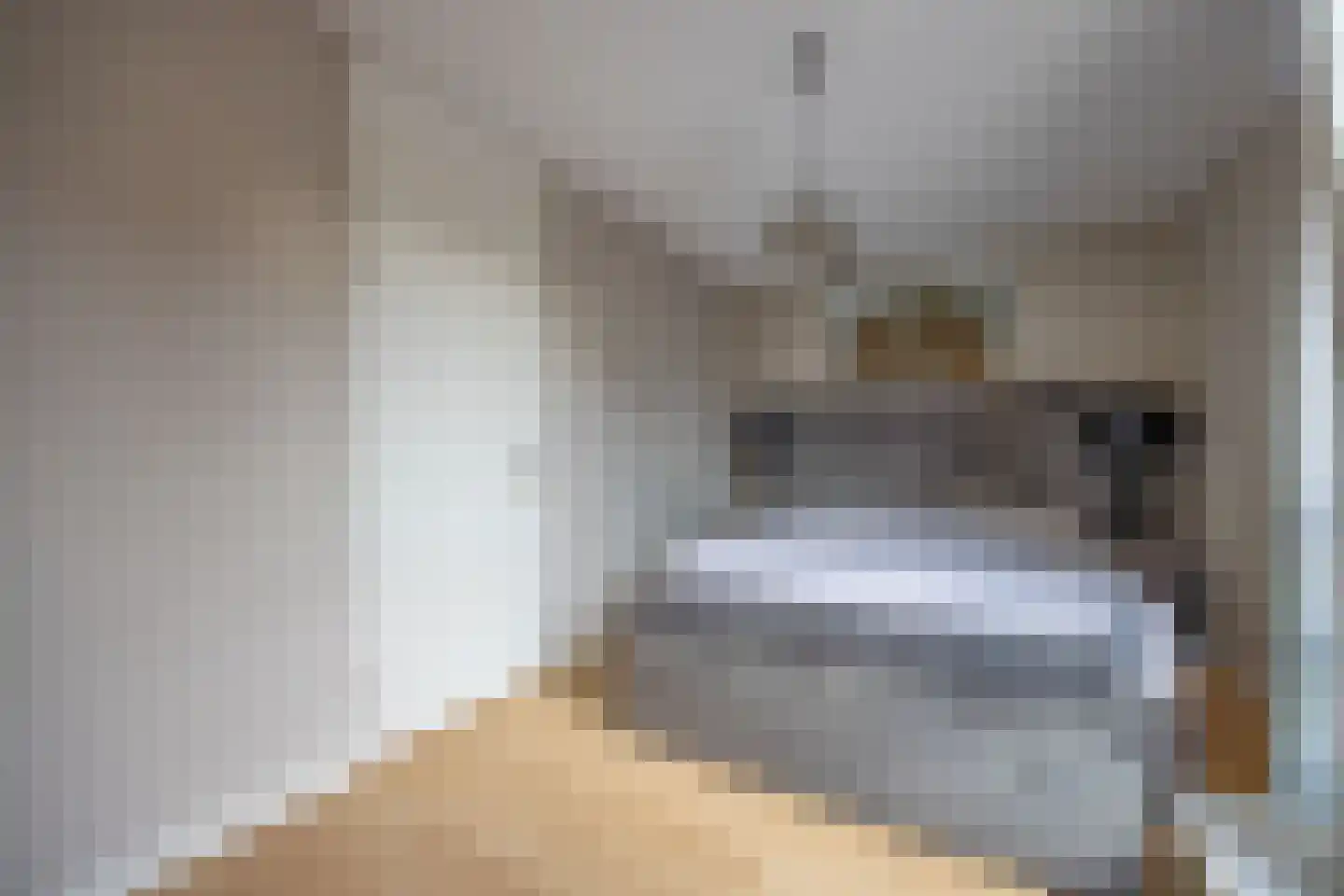Loodgieter 13 Assendelft thumbnail 20